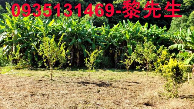 新竹橫山農地-8