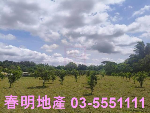 北埔農地-1