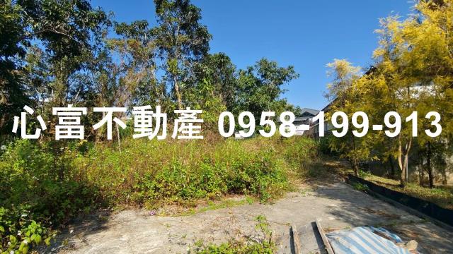 燕巢農地-2