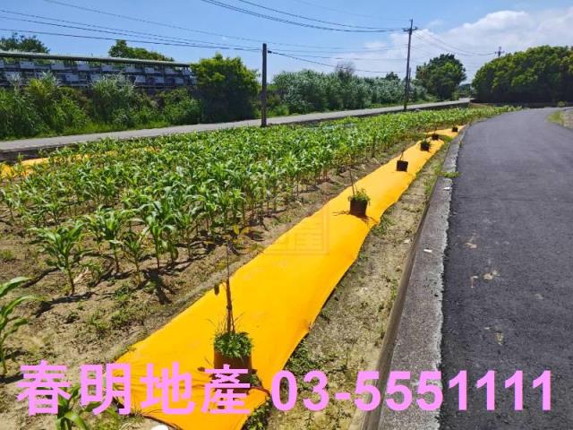新豐農地-10