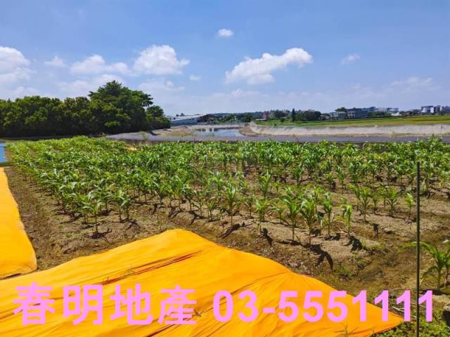 新豐農地-2