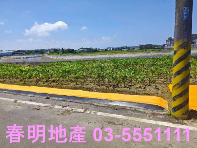 新豐農地-4