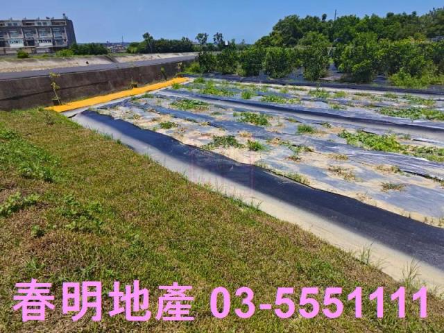 新豐農地-7