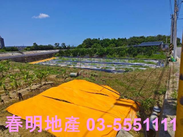新豐農地-8