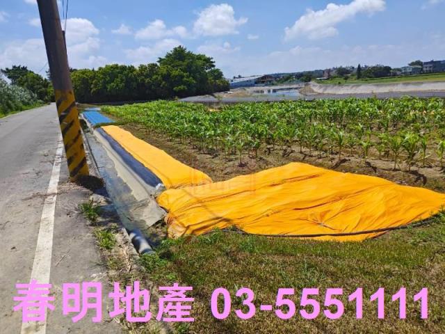 新豐農地-9