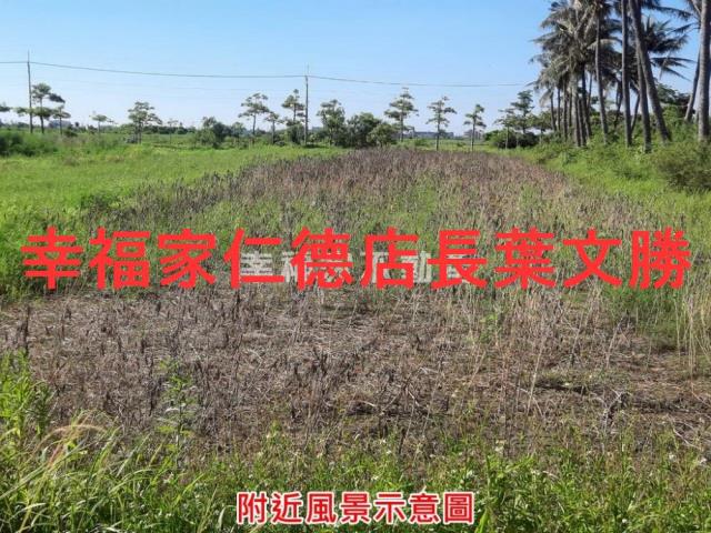 七股農地-14