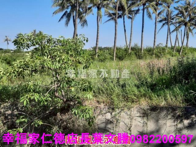 台南農地-12