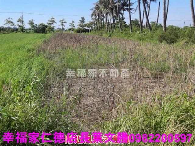 台南農地-15