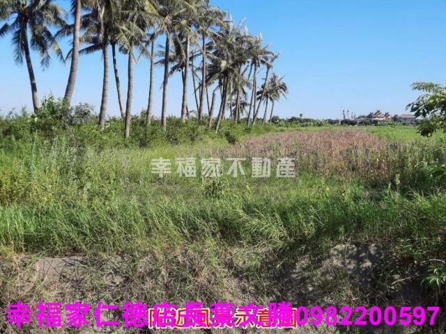 台南農地-9