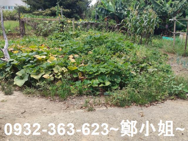 桃園建地-4