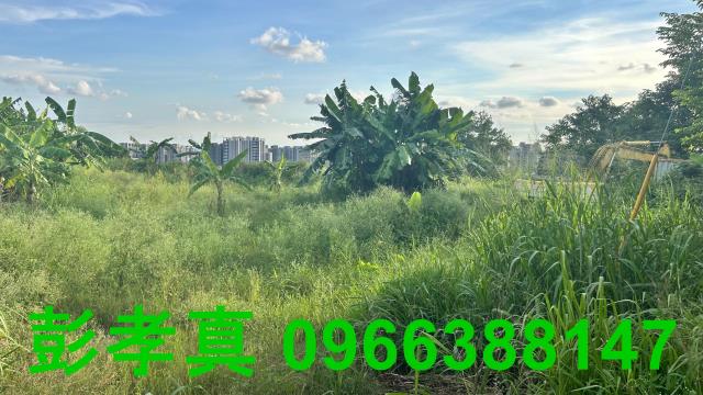 台中北屯農地-5