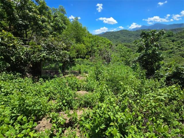 高雄杉林山坡地-11