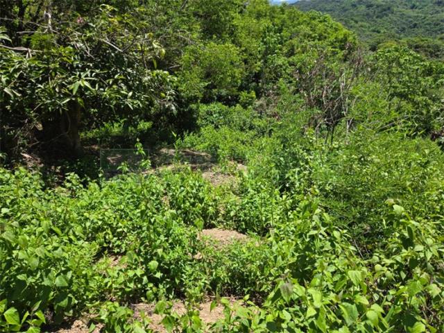 高雄杉林山坡地-12
