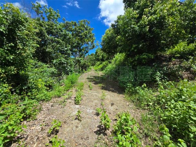 高雄杉林山坡地-4