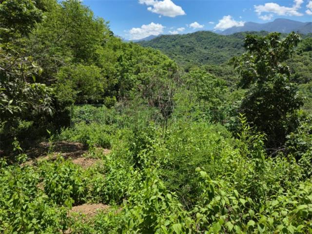 高雄杉林山坡地-9