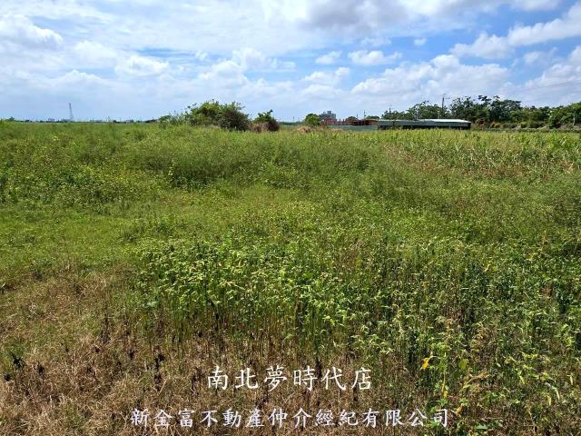 台南佳里農地-7