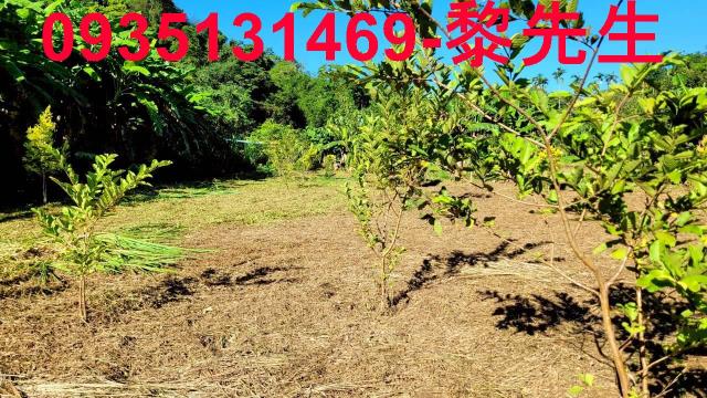 新竹橫山農地-10