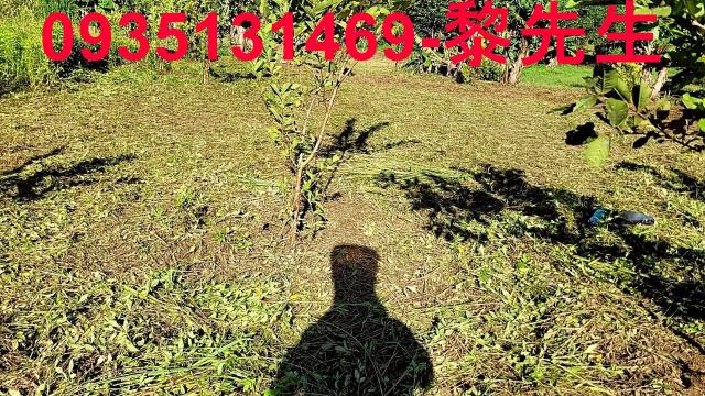 新竹橫山農地-11
