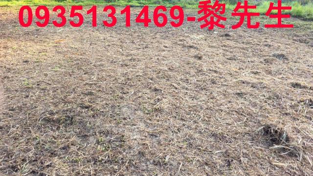 新竹橫山農地-15