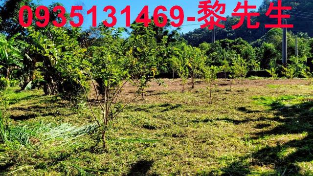新竹橫山農地-1