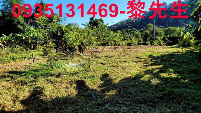 新竹橫山農地-3