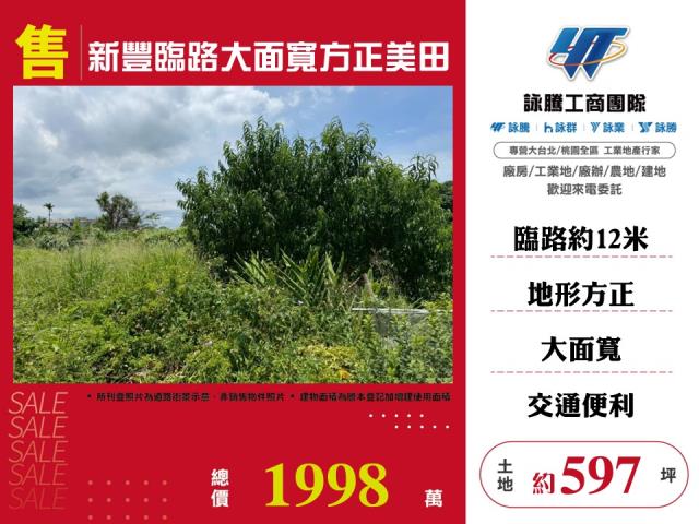 新竹新豐農地-1