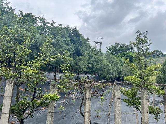 台中農地-8