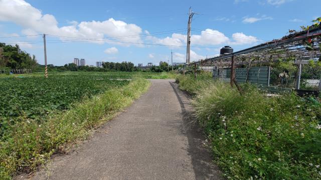 桃園農地-7