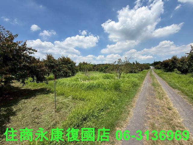 台南大內農地-1