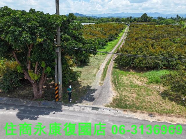 台南大內農地-5