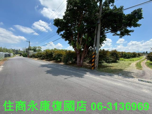 台南大內農地-1
