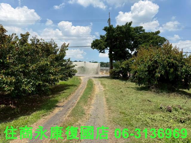 台南大內農地-2