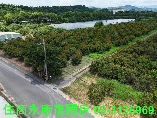 台南大內農地-4