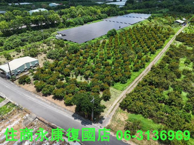 台南大內農地-5