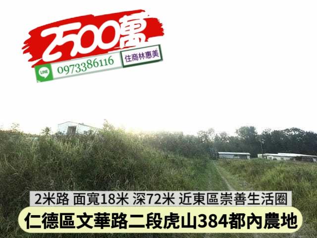 台南仁德農地-2