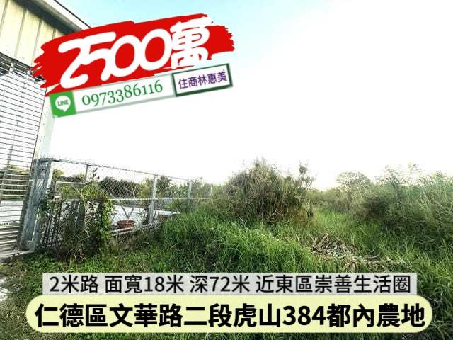 台南仁德農地-4