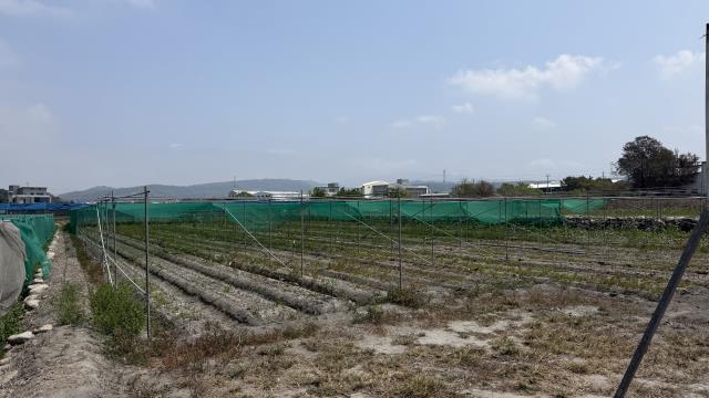台中后里農地-5