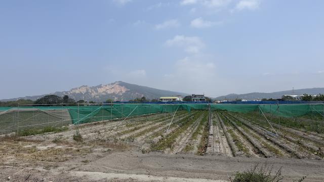 台中后里農地-6