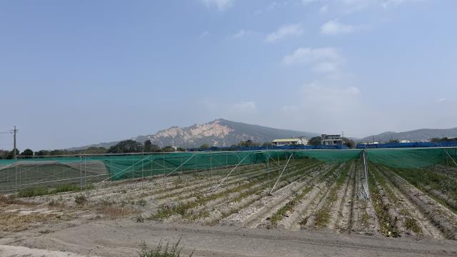 台中后里農地-7