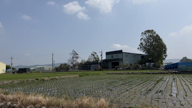台中后里農地-10