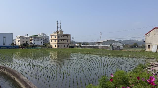 台中后里農地-6