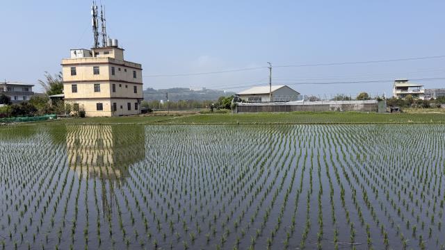 台中后里農地-7
