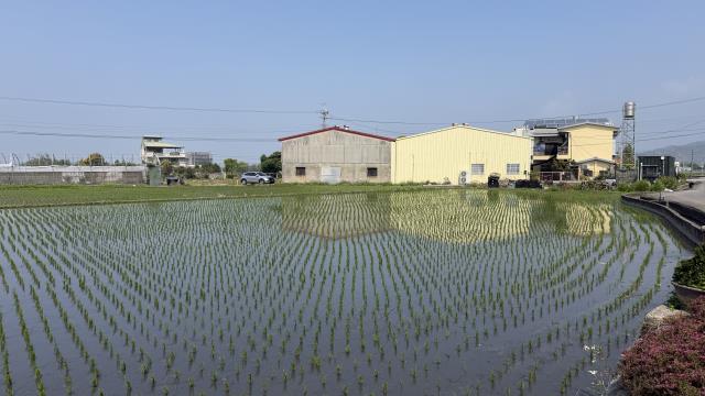 台中后里農地-8