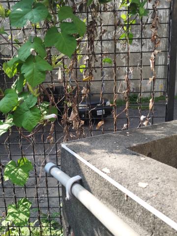台中豐原建地-3