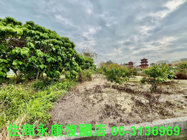 台南白河農地-11