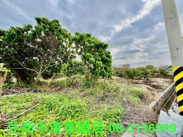台南白河農地-12
