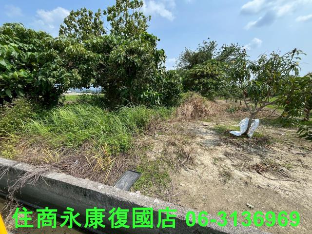 台南白河農地-5