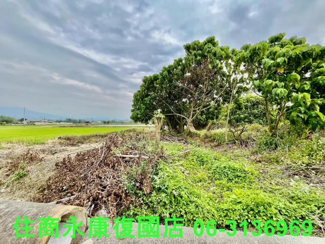 台南白河農地-9