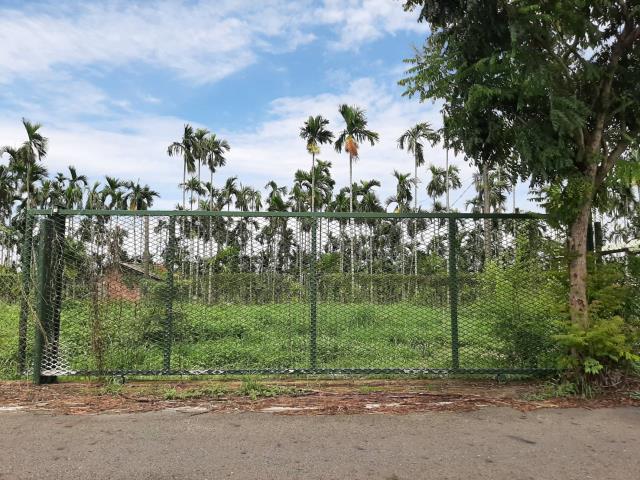 屏東內埔農地-1