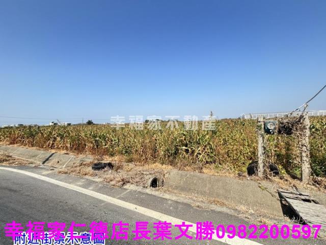 台南佳里農地-10